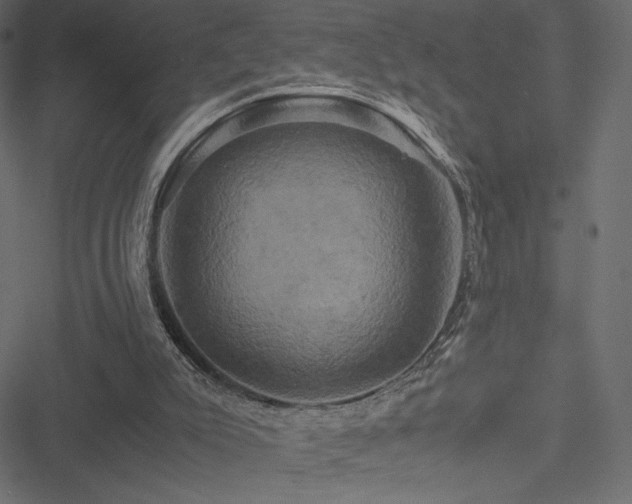 X0000051240007200506171122