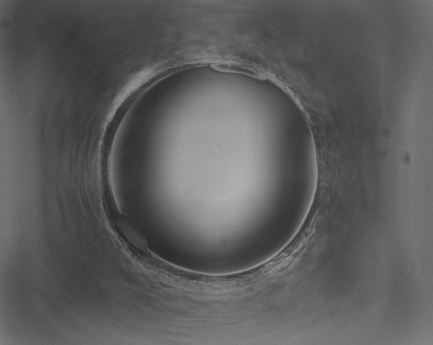 X0000051240008200506171122