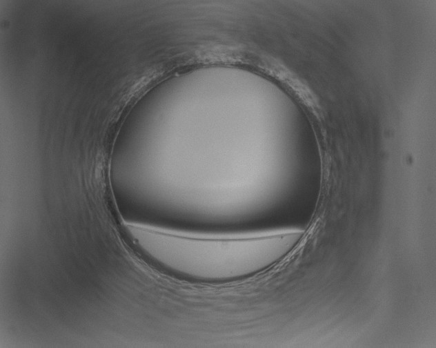 X0000051240009200506171122