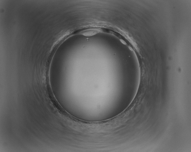 X0000051240010200506171122