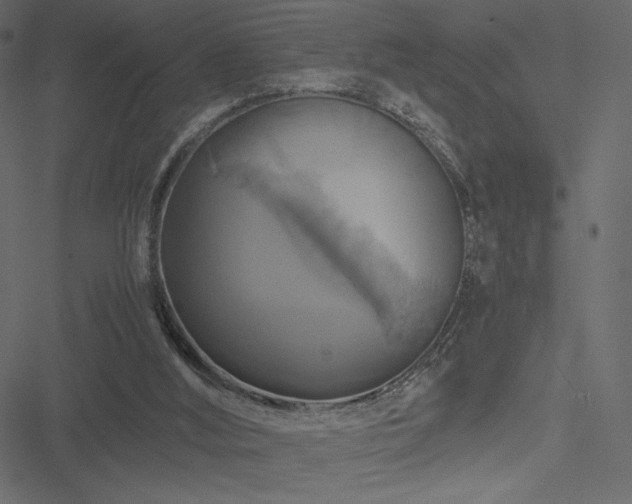 X0000051240012200506171122