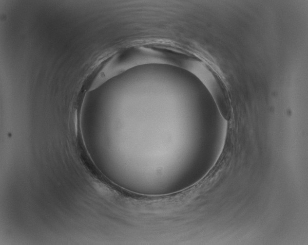 X0000051240013200506171122