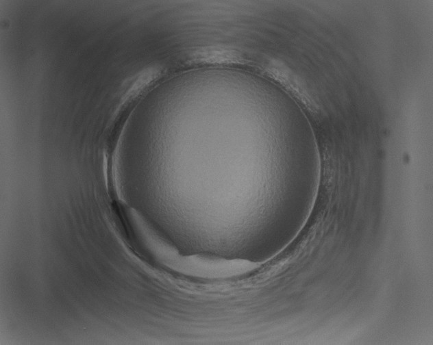 X0000051240014200506171122