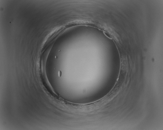 X0000051240015200506171122