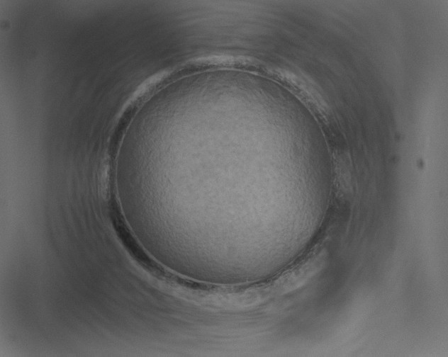 X0000051240016200506171122