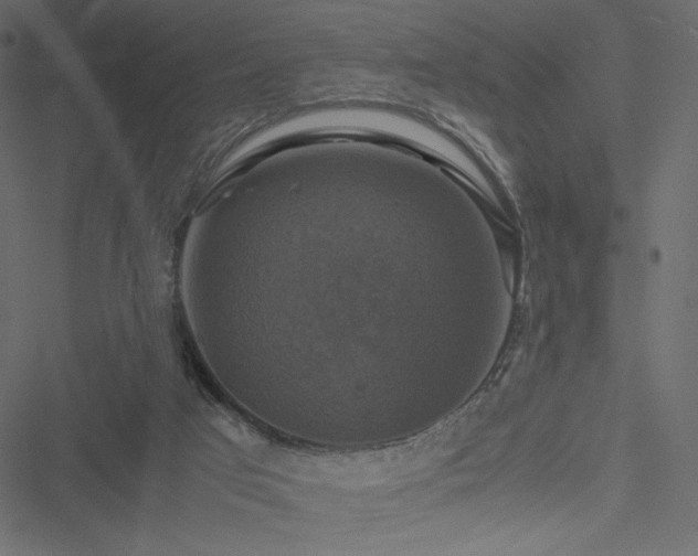 X0000051240017200506171122