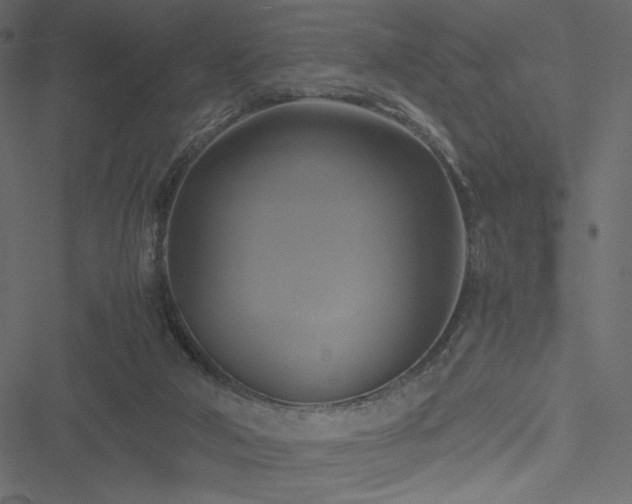 X0000051240018200506171122