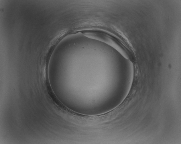 X0000051240019200506171122