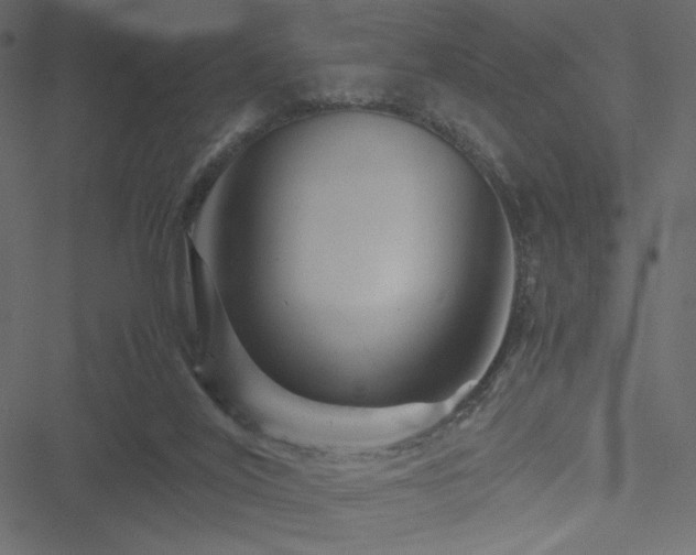 X0000051240020200506171122