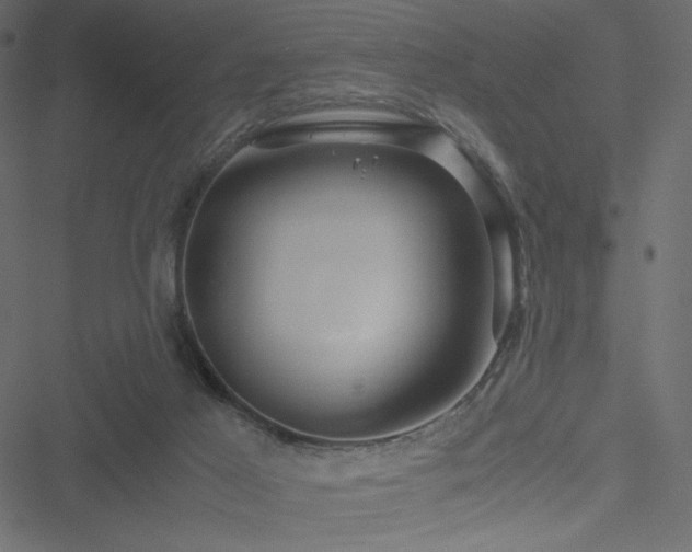 X0000051240021200506171122