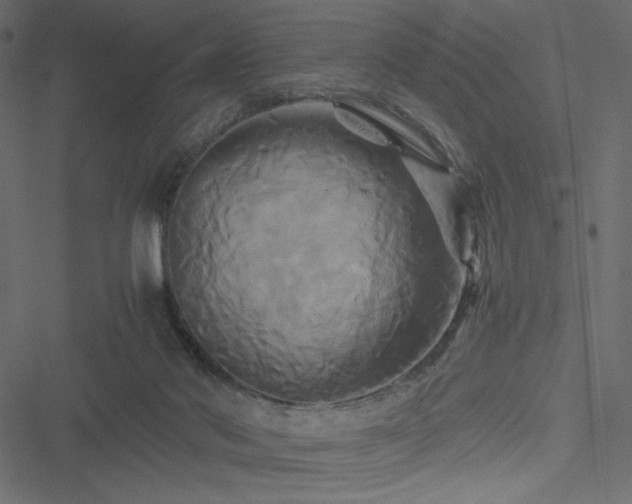 X0000051240022200506171122