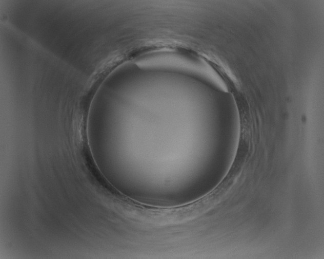 X0000051240023200506171122