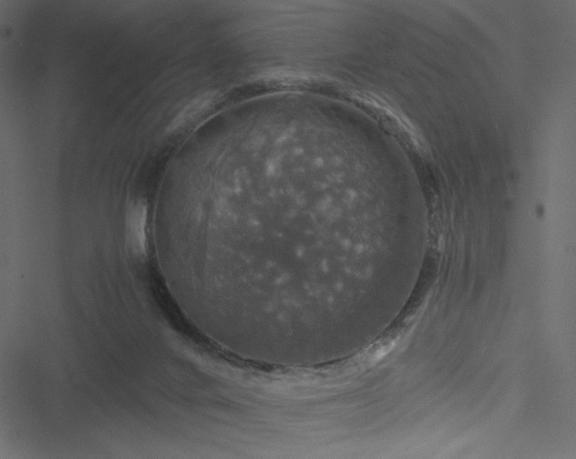 X0000051240024200506171122