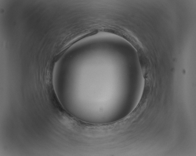 X0000051240025200506171122