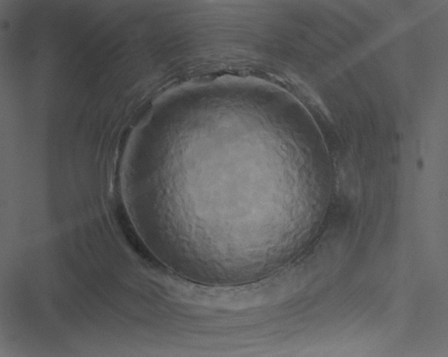 X0000051240026200506171122