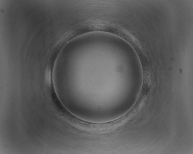 X0000051240027200506171122