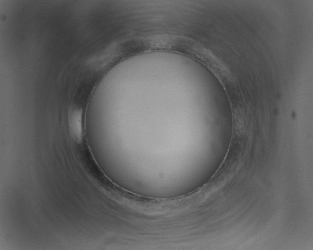 X0000051240028200506171122