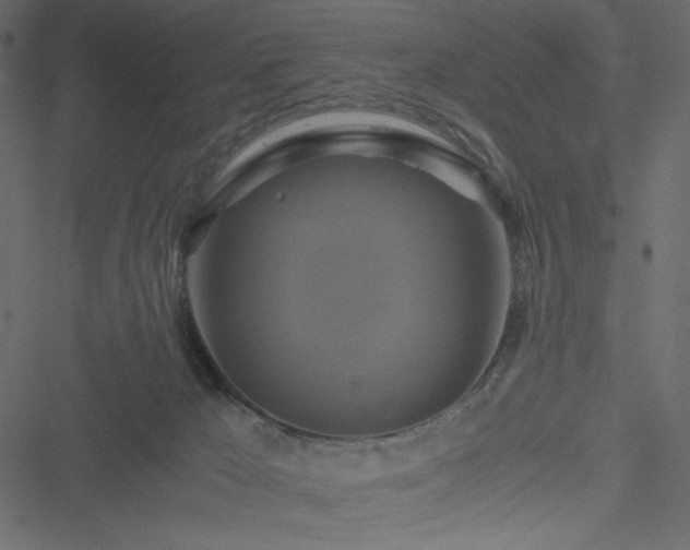 X0000051240029200506171121