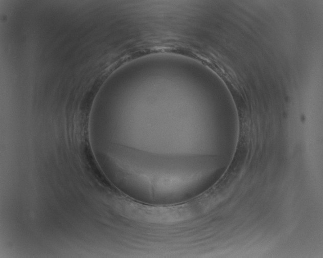 X0000051240030200506171121