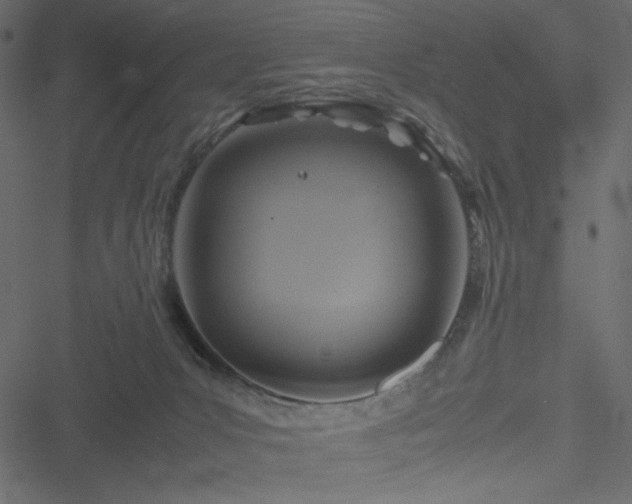 X0000051240031200506171121