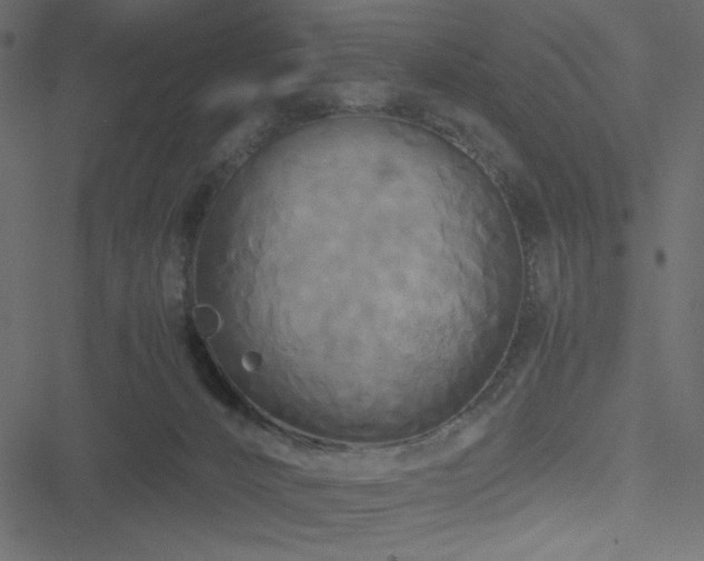 X0000051240032200506171121