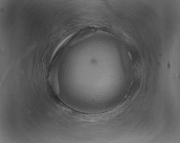 X0000051240033200506171121