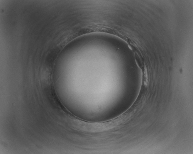 X0000051240034200506171121