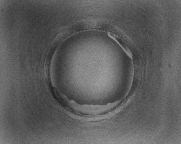 X0000051240035200506171121