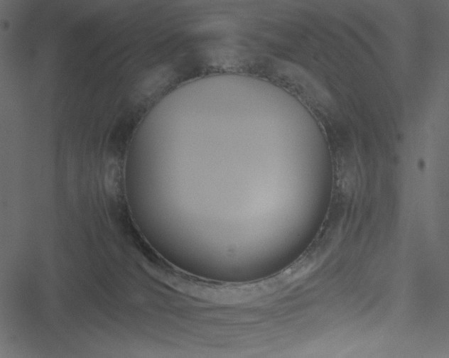 X0000051240036200506171121