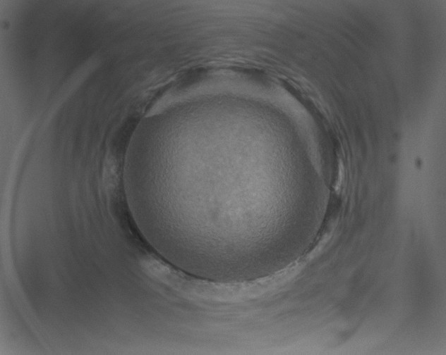 X0000051240037200506171121