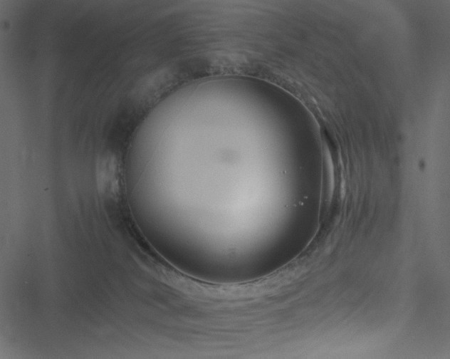 X0000051240038200506171121