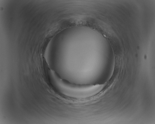 X0000051240039200506171121