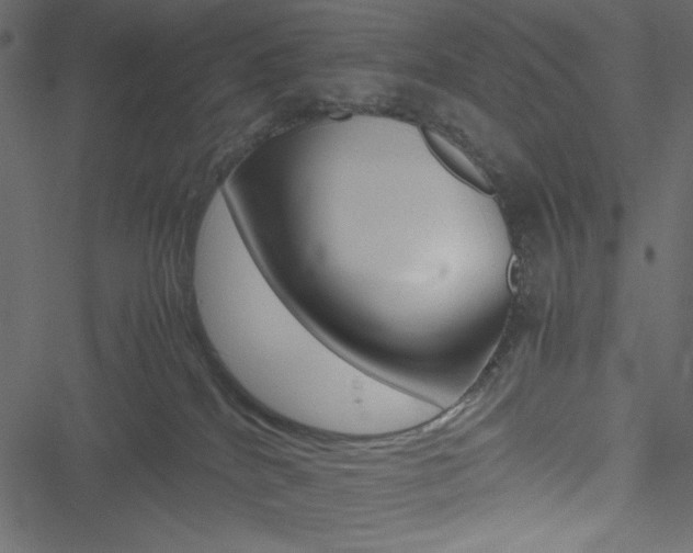 X0000051240040200506171121