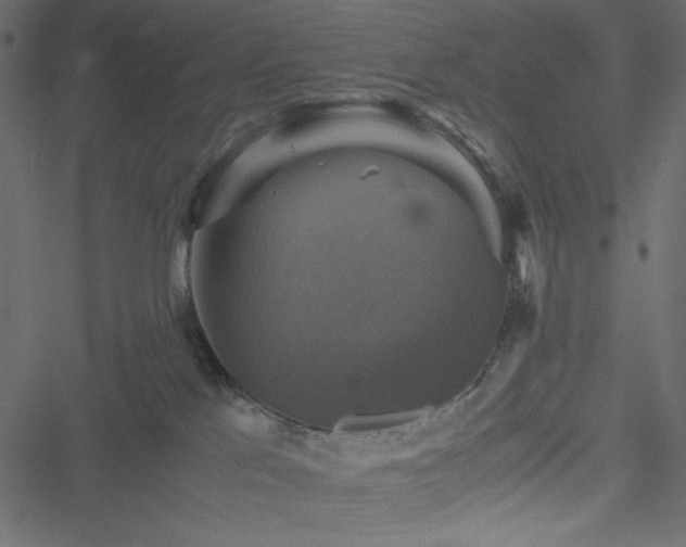 X0000051240041200506171121