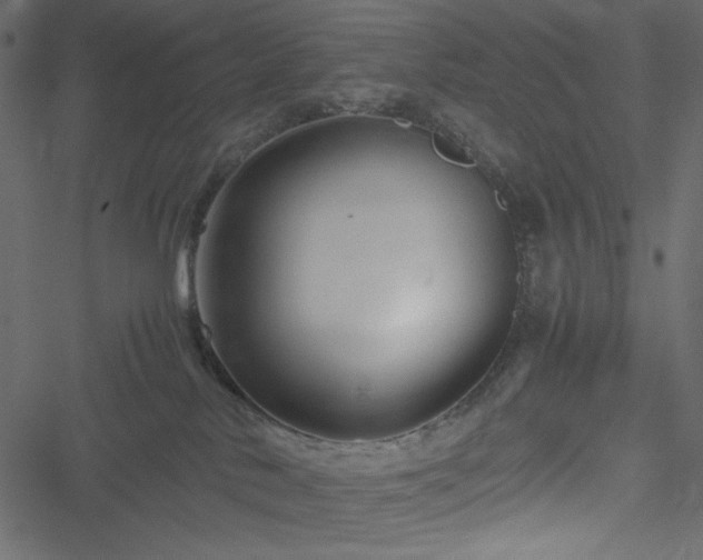 X0000051240042200506171121