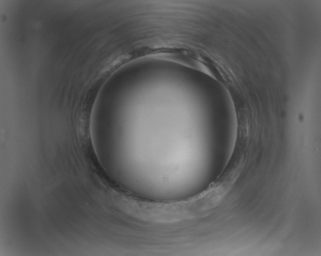 X0000051240044200506171121