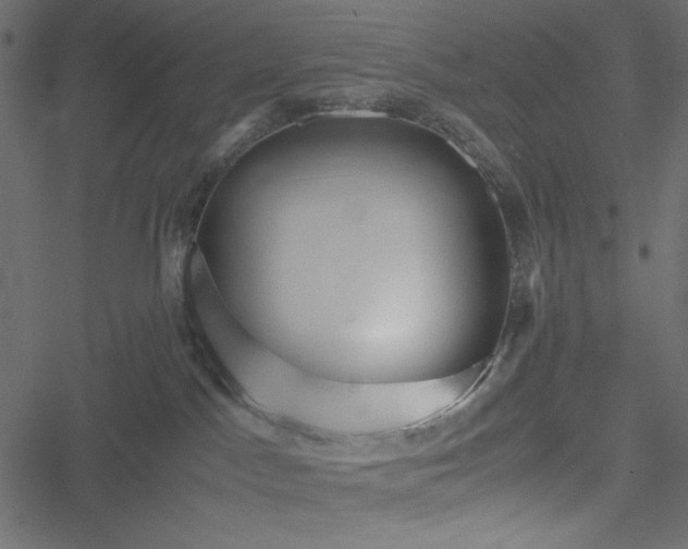 X0000051240045200506171121