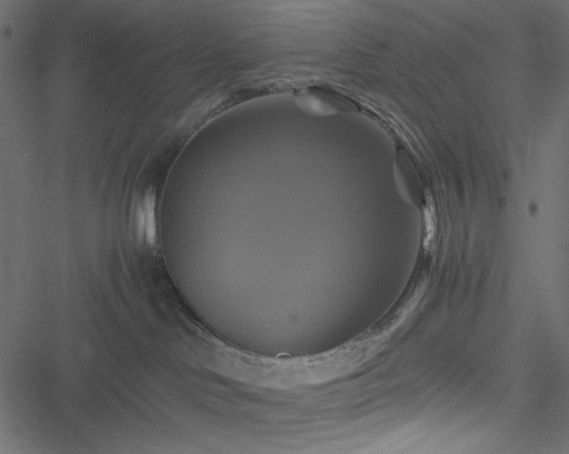 X0000051240046200506171121