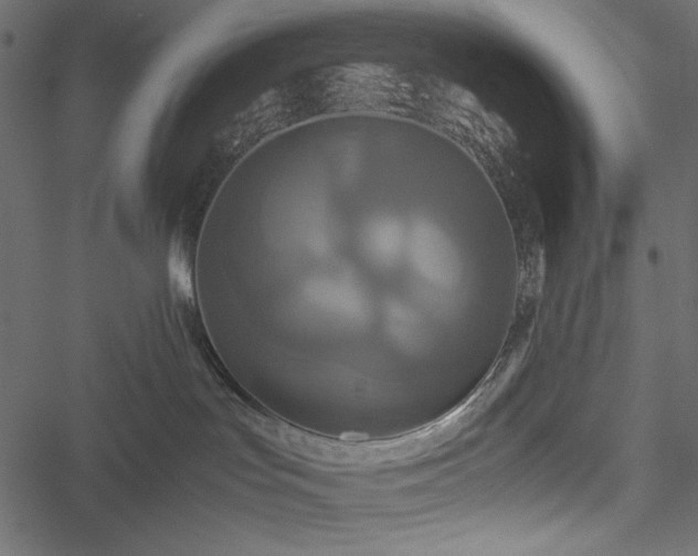 X0000051240047200506171121