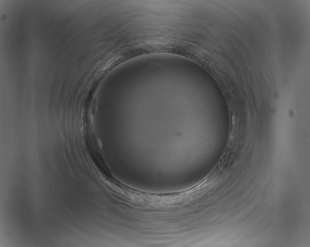 X0000051240048200506171121