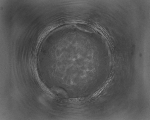 X0000051240049200506171120