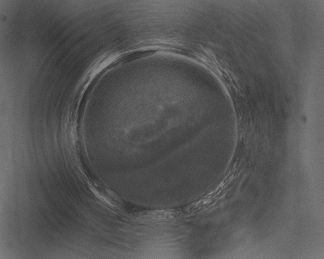 X0000051240050200506171120