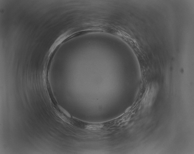 X0000051240051200506171120