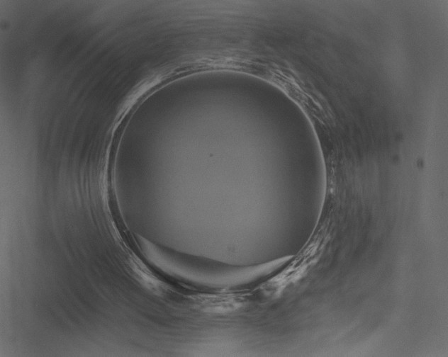 X0000051240052200506171120