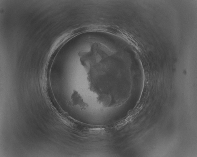 X0000051240053200506171120