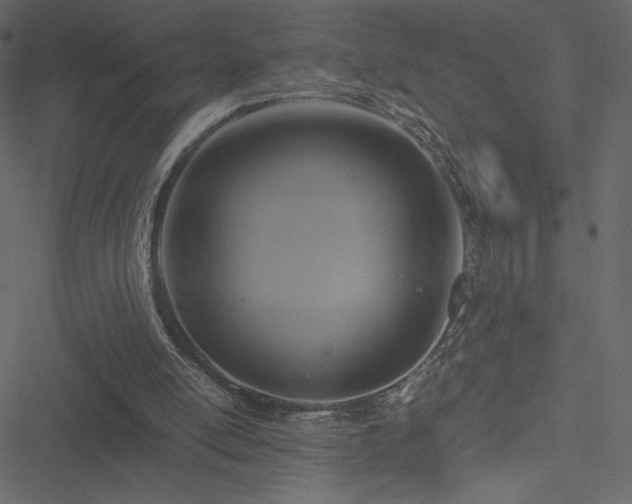 X0000051240054200506171120