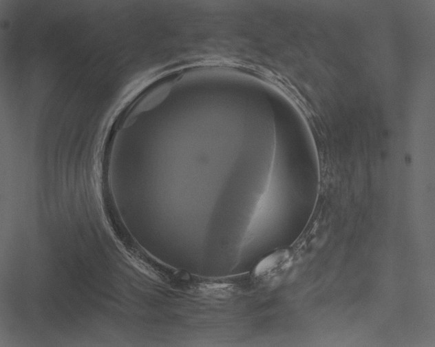 X0000051240055200506171120