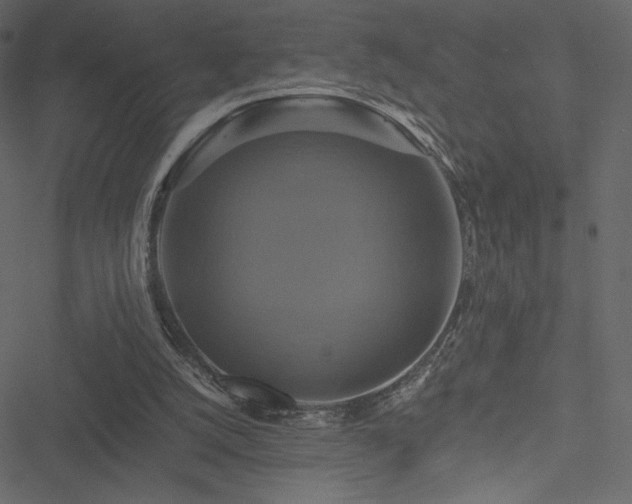 X0000051240056200506171120