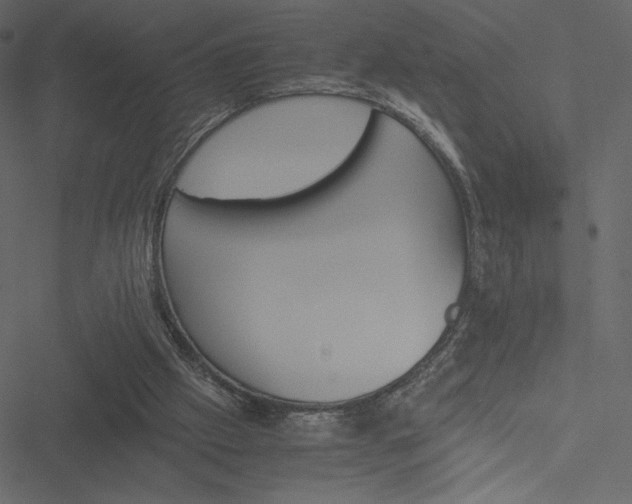 X0000051240057200506171121