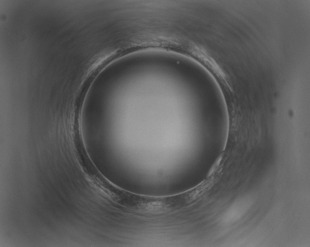 X0000051240058200506171121